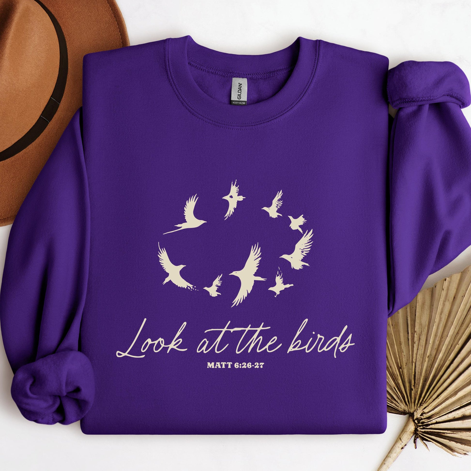 Look At The Bird Matt 6.26-27