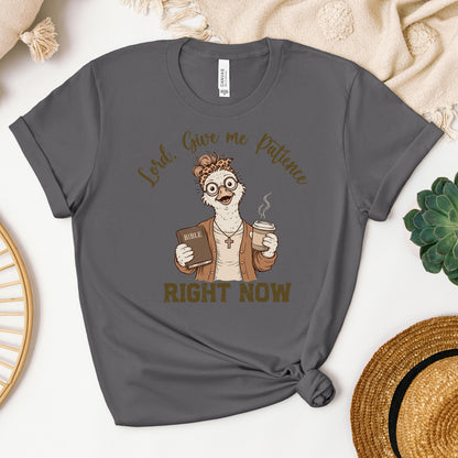 Lord Give Me Patience Right Now 01