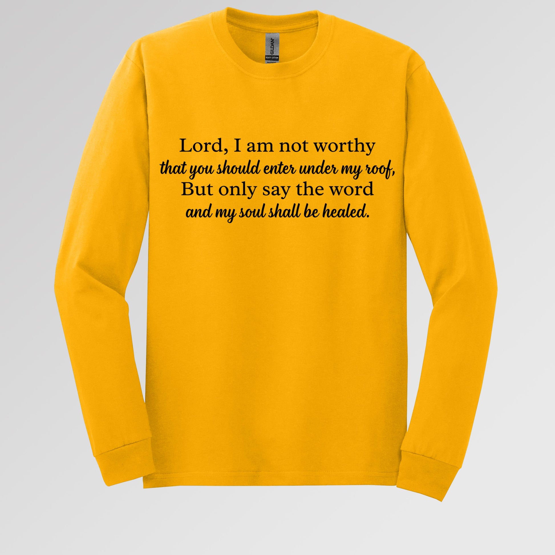 Lord I Am Not Worthy That You Should Enter Under My Roof But Only Say The Word And My Soul Shall Be Healed
