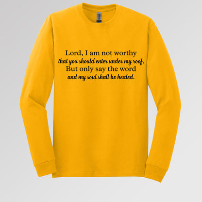 Lord I Am Not Worthy That You Should Enter Under My Roof But Only Say The Word And My Soul Shall Be Healed