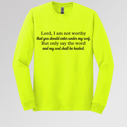 Lord I Am Not Worthy That You Should Enter Under My Roof But Only Say The Word And My Soul Shall Be Healed