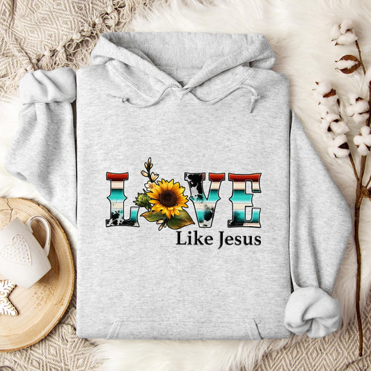 Love Like Jesus 04 Hoodie