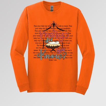 Mary Did You Know 01