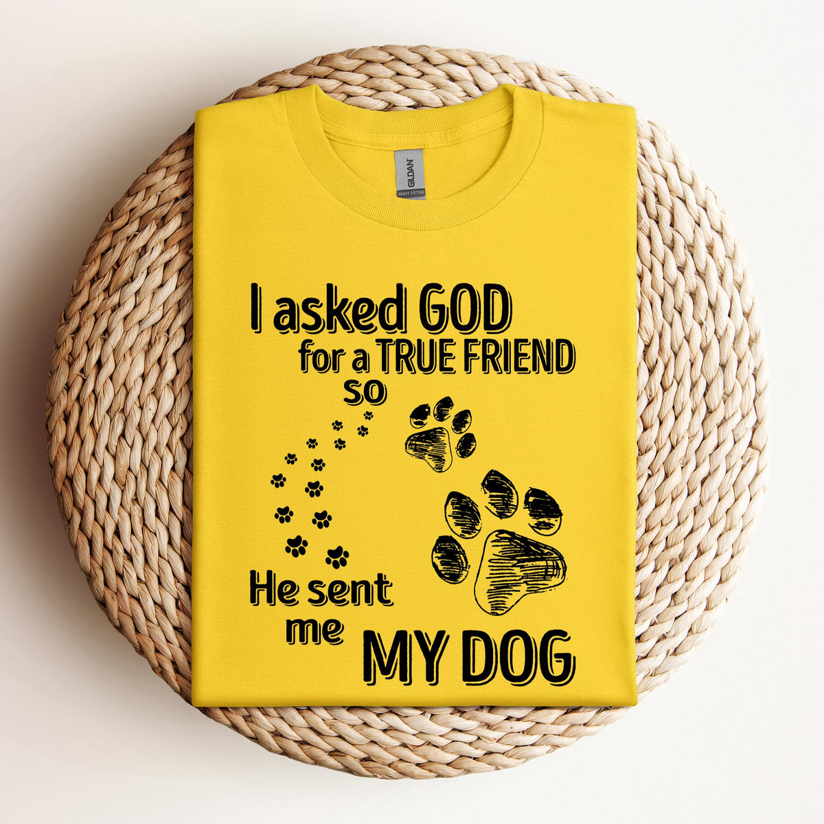 My Dog