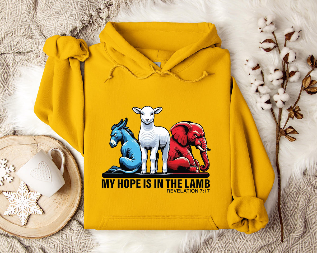 My Hope Is In The Lamp Revelation 7.17