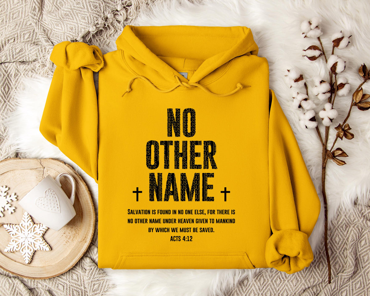 No Other Name Acts 4.12 Hoodie