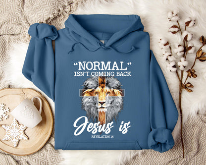 Normal Isn't Coming Back Revelation 14 Lion Hoodie