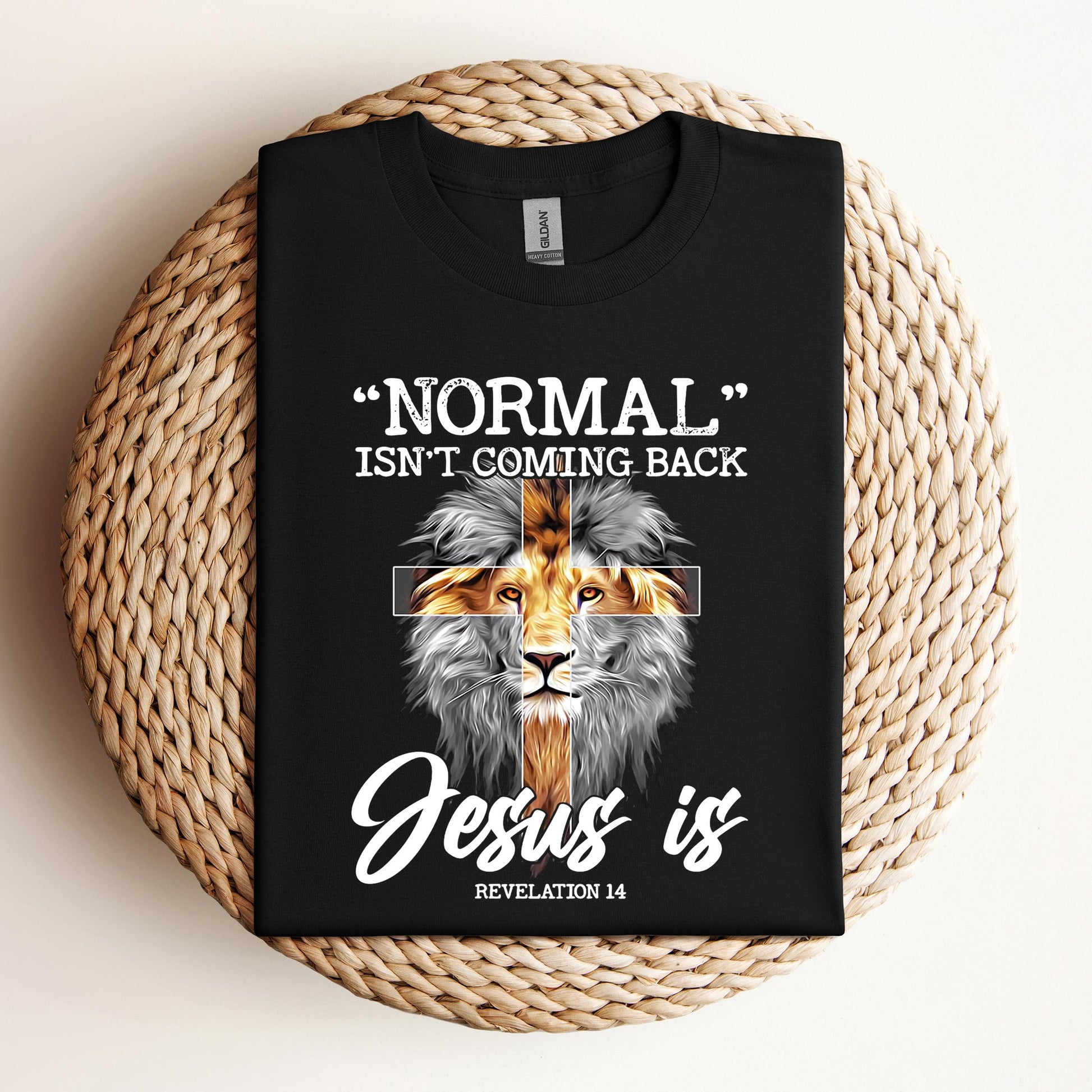 Normal Isn't Coming Back