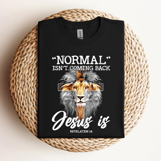 Normal Isn't Coming Back