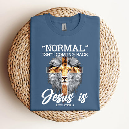 Normal Isn't Coming Back