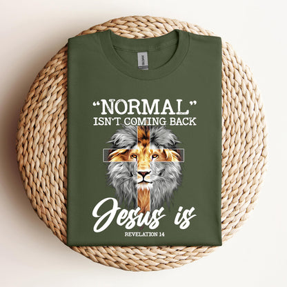 Normal Isn't Coming Back