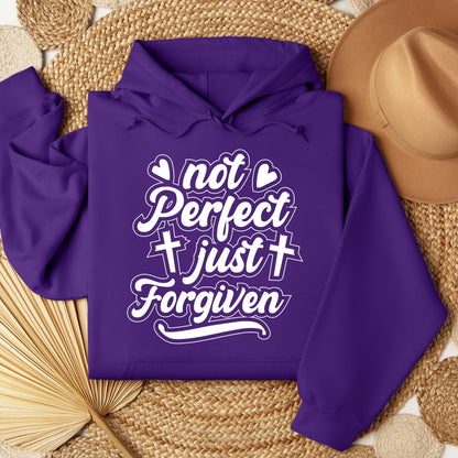 Not Perfect Just Forgiven 02