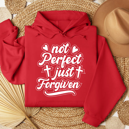 Not Perfect Just Forgiven 02