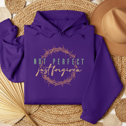Not Perfect Just Forgiven 03