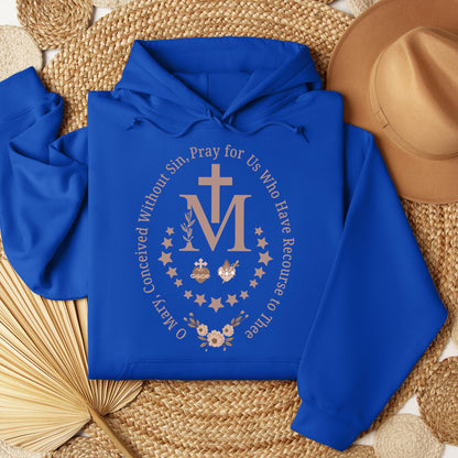 O Mary Conceived Without Sin Pray For Us Who Have Recourse To Thee 07