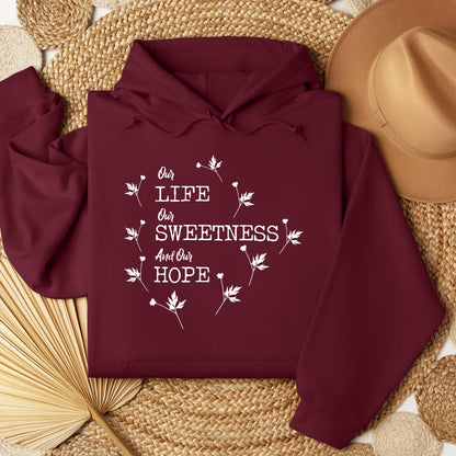 Our Life Our Sweetness And Our Hope 02