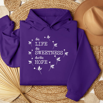 Our Life Our Sweetness And Our Hope 02