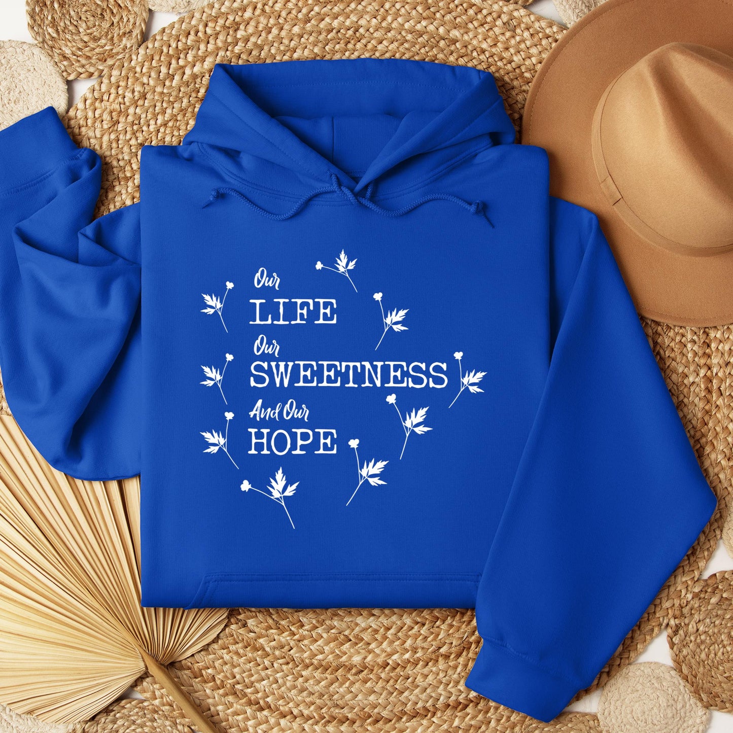 Our Life Our Sweetness And Our Hope 02