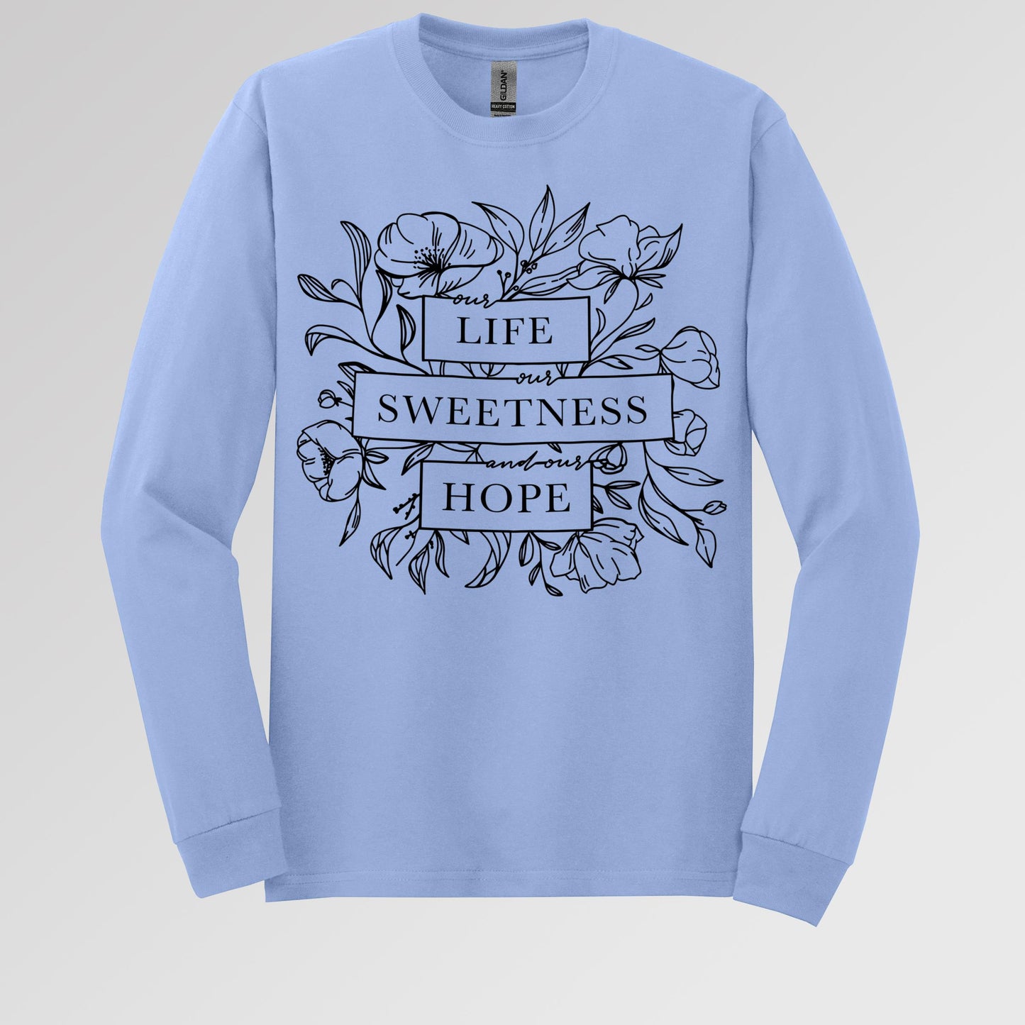 Our Life Our Sweetness And Our Hope