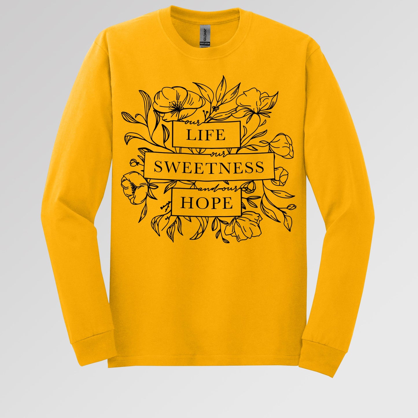 Our Life Our Sweetness And Our Hope