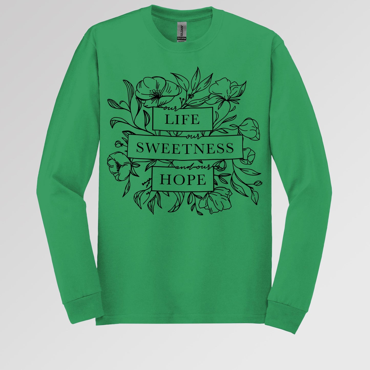 Our Life Our Sweetness And Our Hope