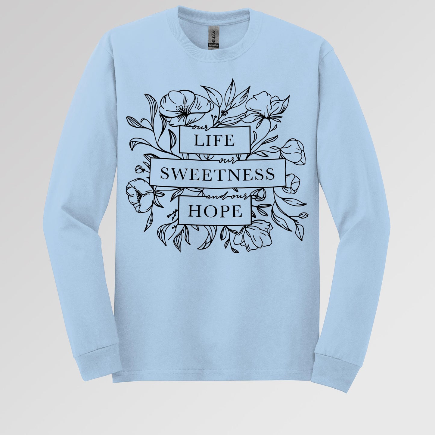 Our Life Our Sweetness And Our Hope