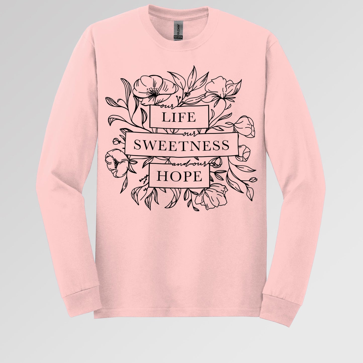Our Life Our Sweetness And Our Hope