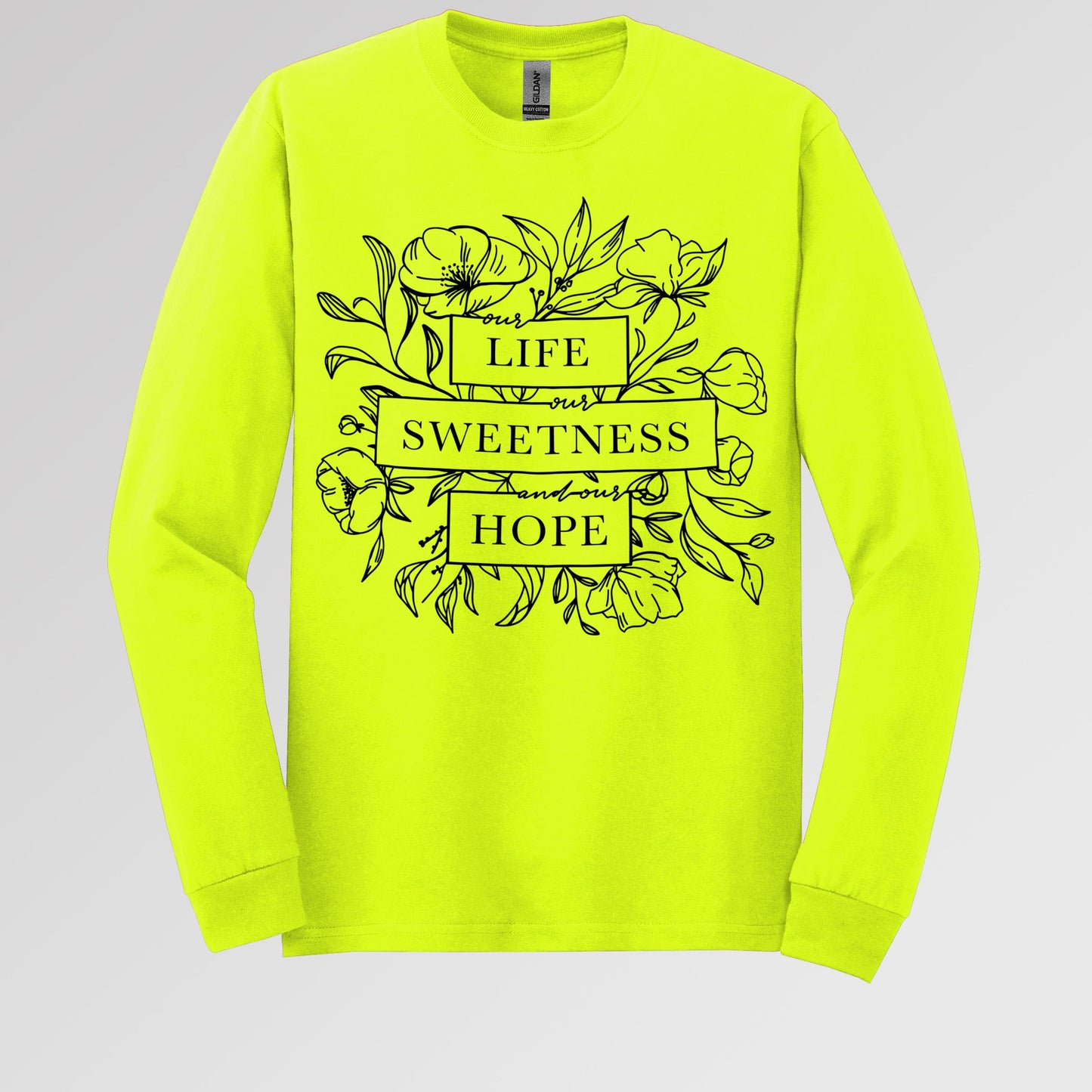 Our Life Our Sweetness And Our Hope