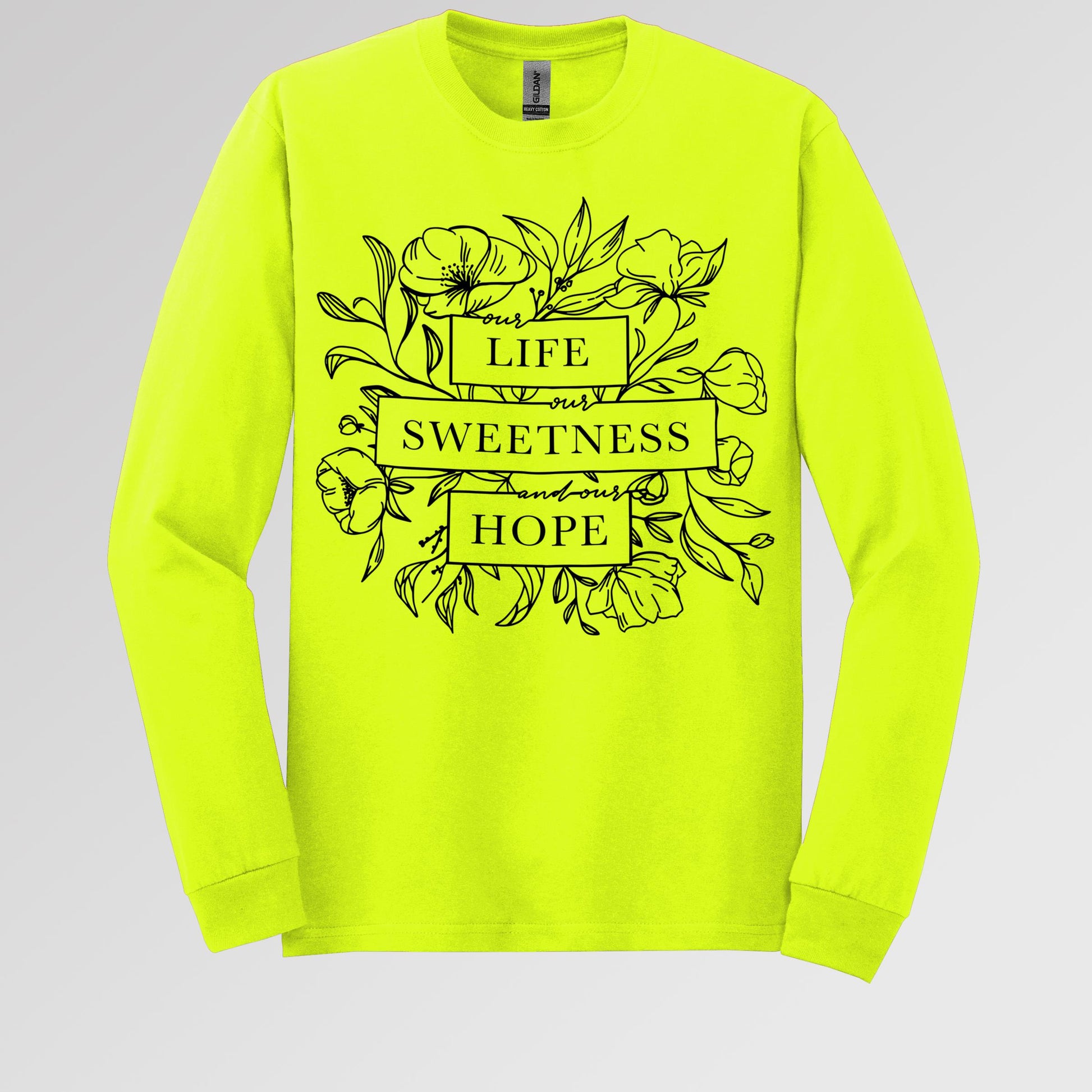 Our Life Our Sweetness And Our Hope