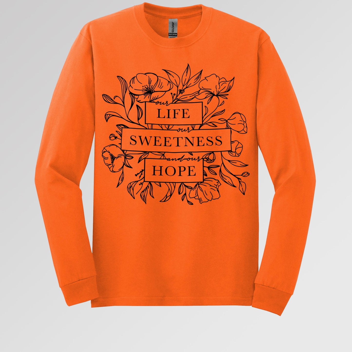 Our Life Our Sweetness And Our Hope