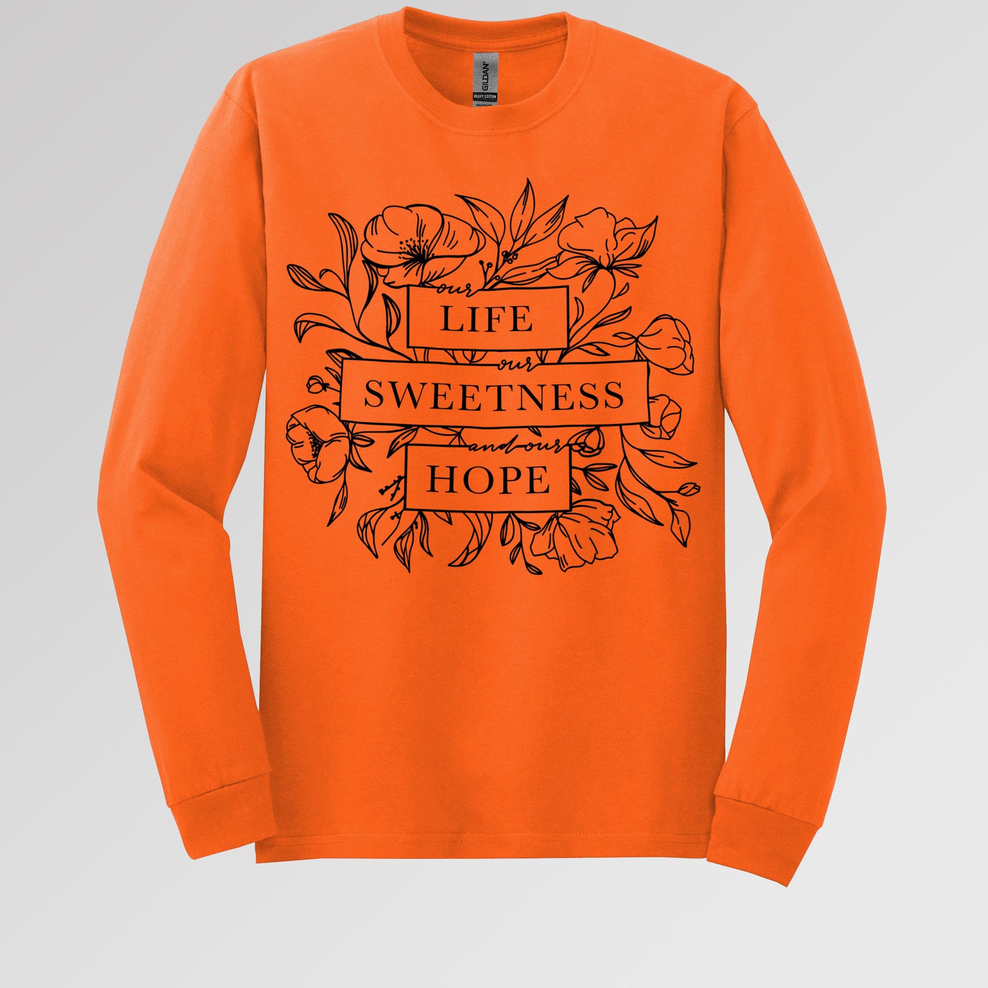 Our Life Our Sweetness And Our Hope