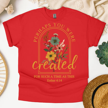 Perhaps You Were Created For Such A Time As This Esther 4.14 03