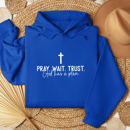 Pray Wait Trust God Has A Plan