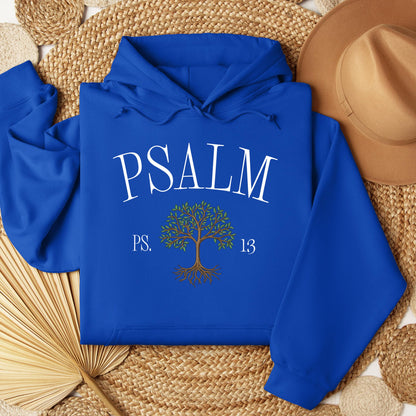 Psalm Ps.13 01