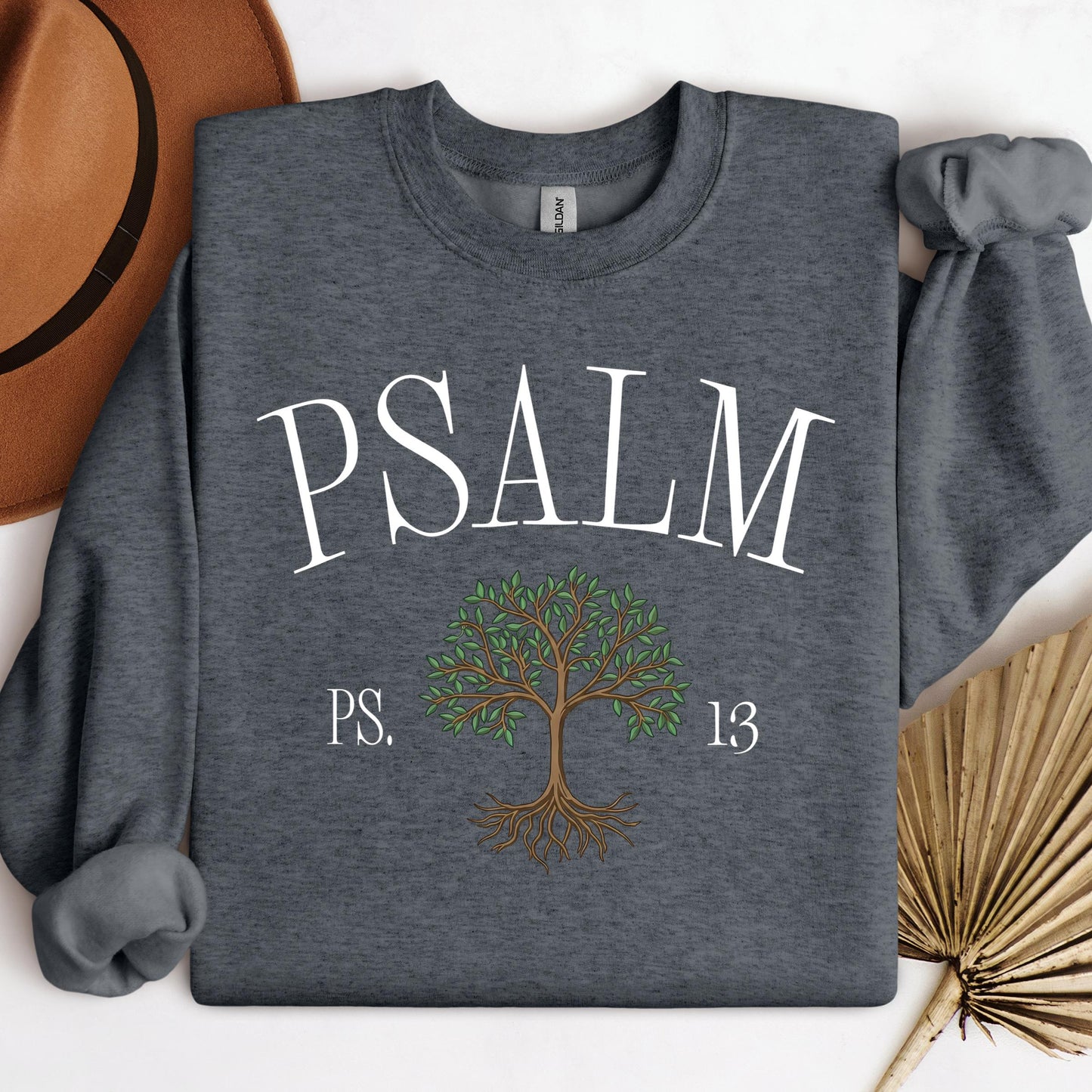 Psalm Ps.13 01