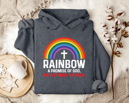 Rainbow A Promise Of God Not A Symbol Of Pride Hoodie