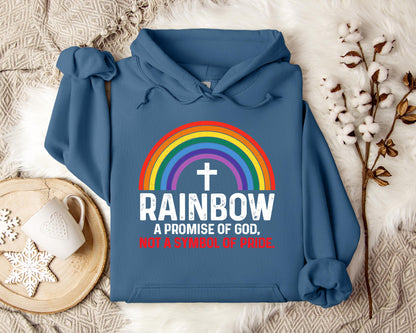 Rainbow A Promise Of God Not A Symbol Of Pride Hoodie