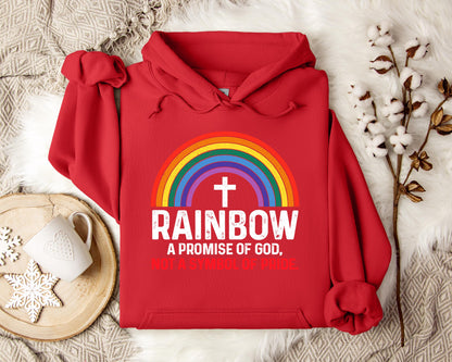 Rainbow A Promise Of God Not A Symbol Of Pride Hoodie
