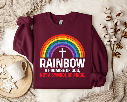 Rainbow A Promise Of God Not A Symbol Of Pride Sweatshirt