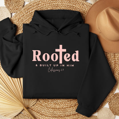 Rooted And Built Up In Him Colossians 2.7 01