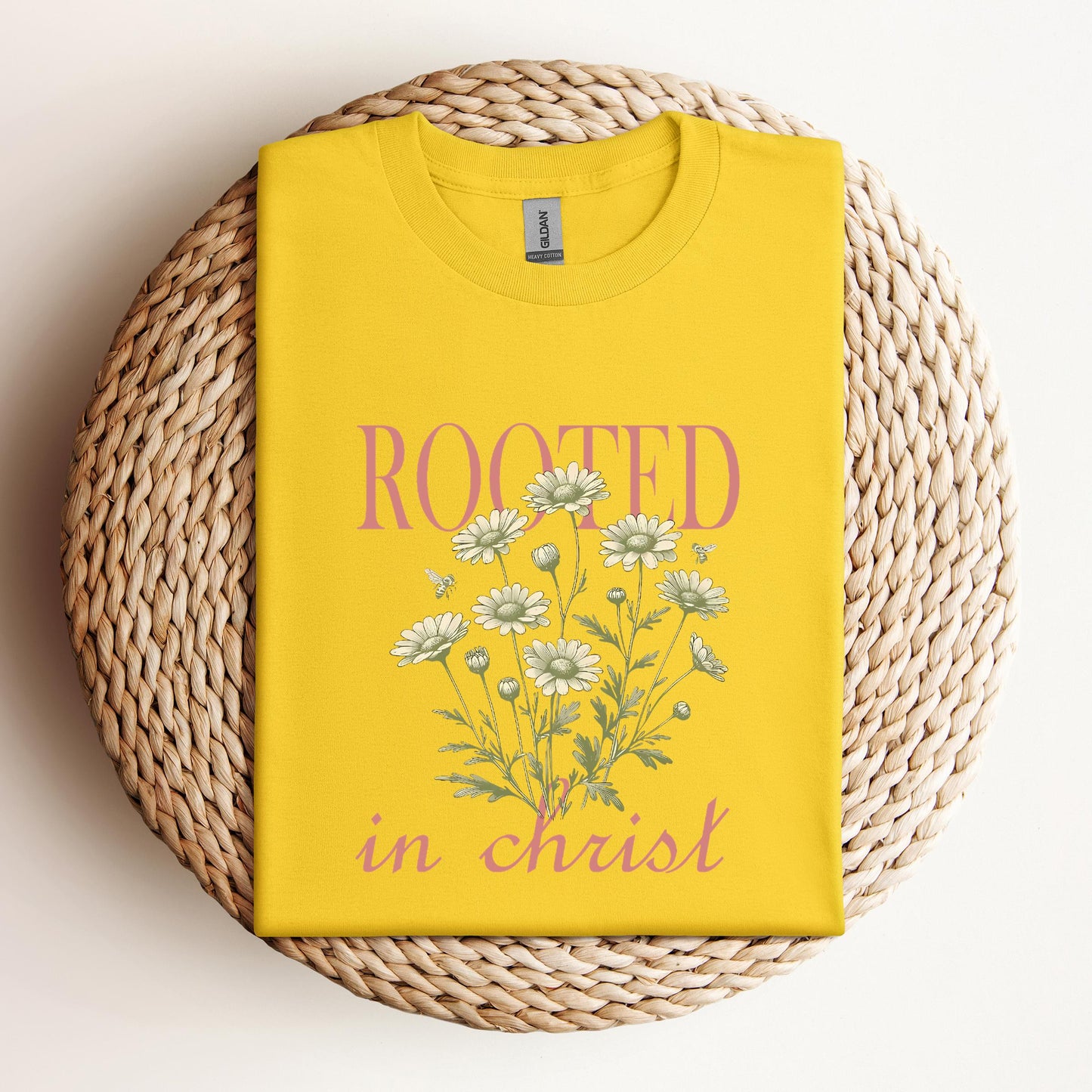 Rooted In Christ 01