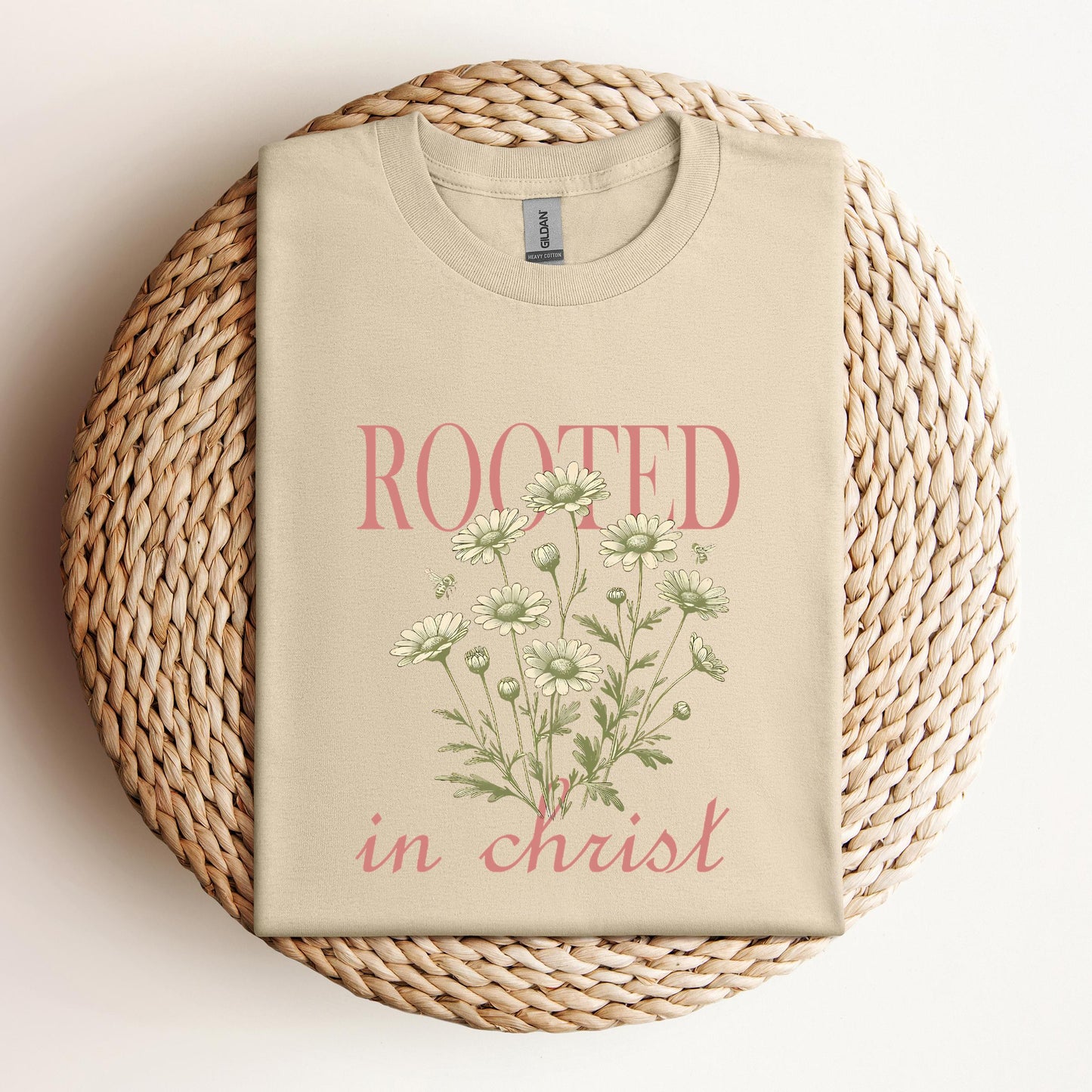 Rooted In Christ 01