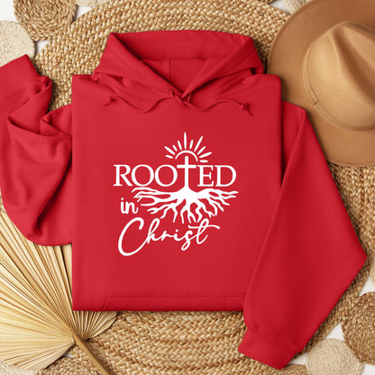 Rooted in Christ 02