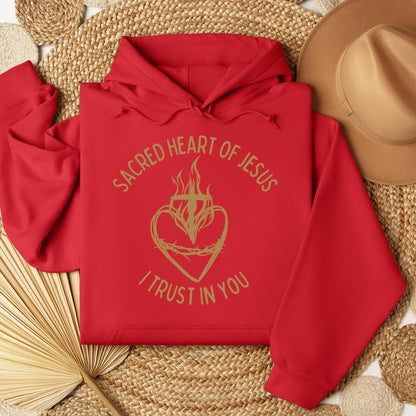 Sacred Heart Of Jesus I Trust In You 01