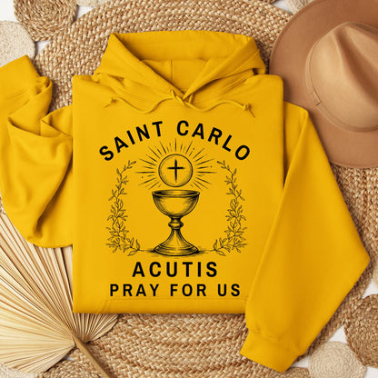 Saint Carlo Acutis Pray For Us 01