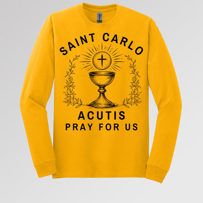 Saint Carlo Acutis Pray For Us 01