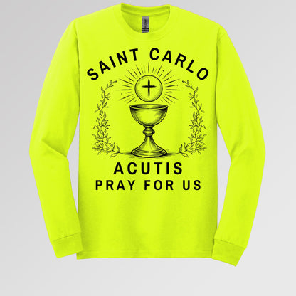Saint Carlo Acutis Pray For Us 01