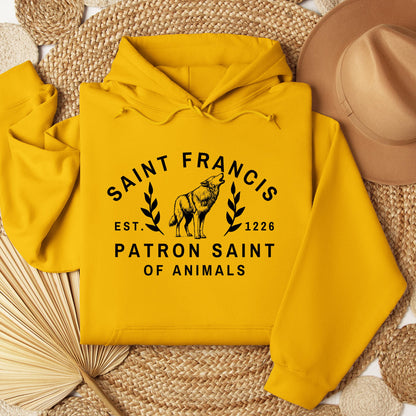 Saint Francis Patron Saint Of Animals 01