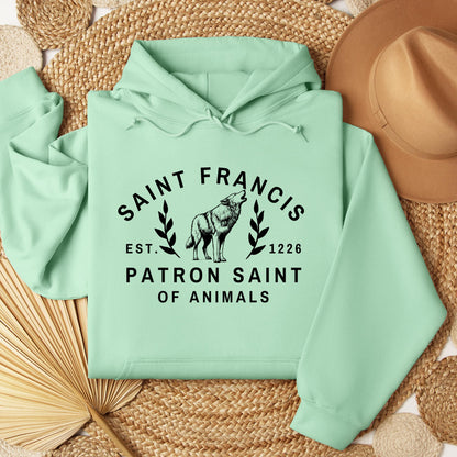 Saint Francis Patron Saint Of Animals 01