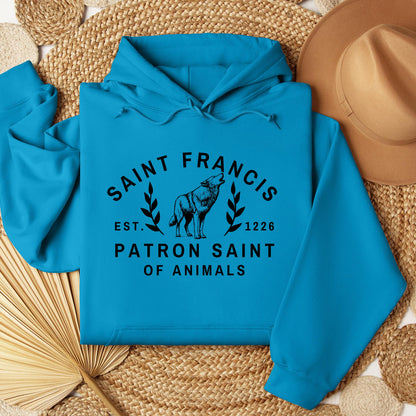 Saint Francis Patron Saint Of Animals 01